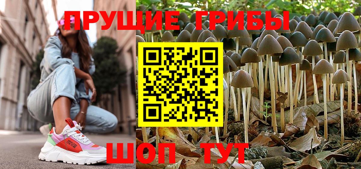 Галлюциногенные грибы MAGIC MUSHROOMS  Вход с VPN  Можга 
