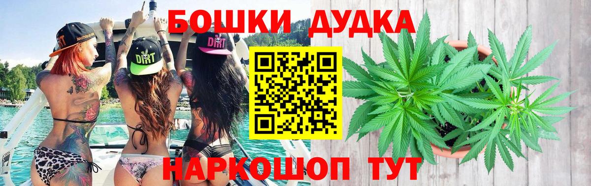Конопля конопля Можга